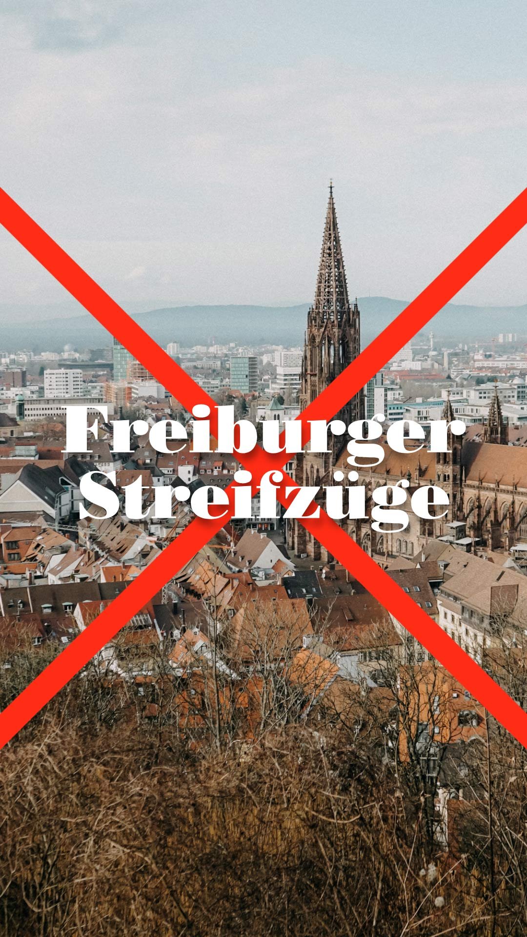 Blick auf das Freiburger Münster mit der Headline Freiburger Streifzüge